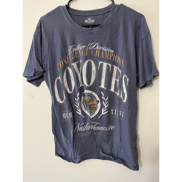 Men’s Hollister  T Shirt Gray Short Sleeve Graphic Tee Crew Neck Size Small - Picture 1 of 6